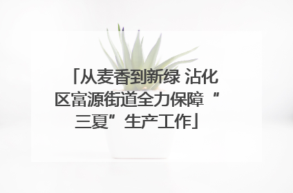 从麦香到新绿 沾化区富源街道全力保障“三夏”生产工作