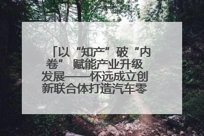 以“知产”破“内卷” 赋能产业升级发展——怀远成立创新联合体打造汽车零部件产业新高地