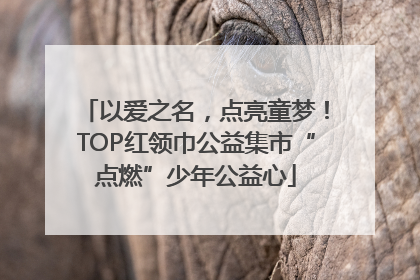 以爱之名，点亮童梦！TOP红领巾公益集市“点燃”少年公益心