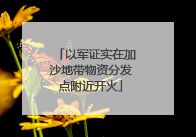 以军证实在加沙地带物资分发点附近开火