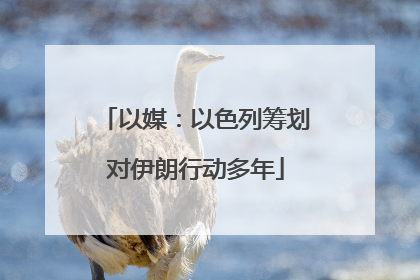以媒：以色列筹划对伊朗行动多年