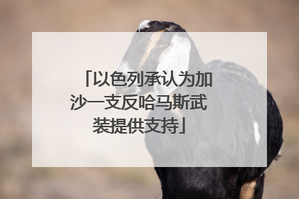 以色列承认为加沙一支反哈马斯武装提供支持