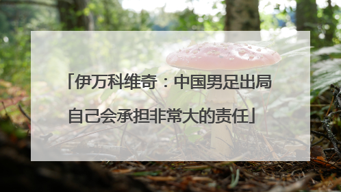 伊万科维奇：中国男足出局自己会承担非常大的责任