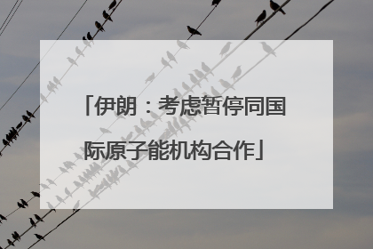 伊朗：考虑暂停同国际原子能机构合作