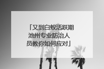 又到白蚁活跃期 池州专业防治人员教你如何应对