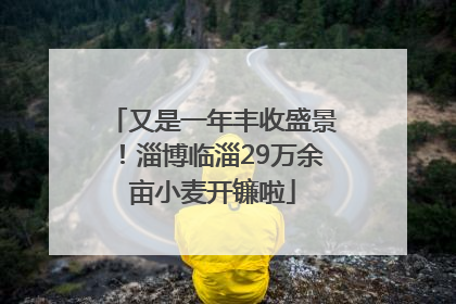 又是一年丰收盛景！淄博临淄29万余亩小麦开镰啦