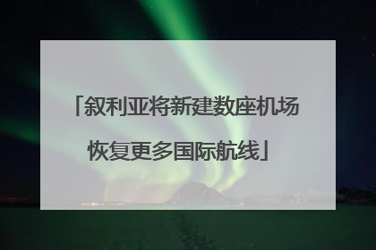 叙利亚将新建数座机场 恢复更多国际航线