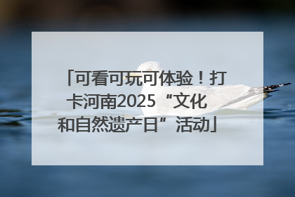 可看可玩可体验！打卡河南2025“文化和自然遗产日”活动