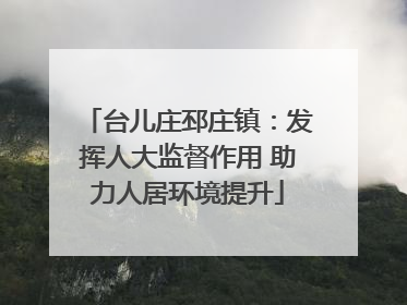 台儿庄邳庄镇：发挥人大监督作用 助力人居环境提升