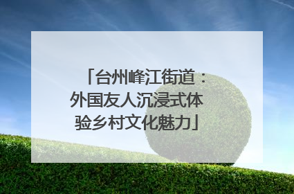 台州峰江街道：外国友人沉浸式体验乡村文化魅力