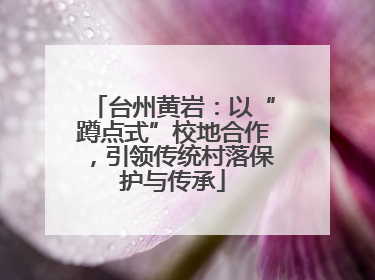 台州黄岩：以“蹲点式”校地合作，引领传统村落保护与传承