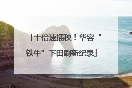 十倍速插秧！华容“铁牛”下田刷新纪录