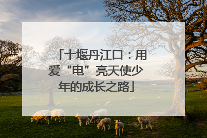 十堰丹江口：用爱“电”亮天使少年的成长之路