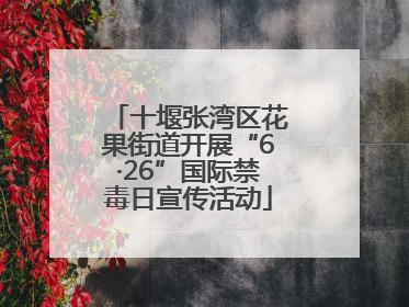 十堰张湾区花果街道开展“6·26”国际禁毒日宣传活动