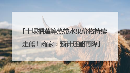 十堰榴莲等热带水果价格持续走低！商家：预计还能再降