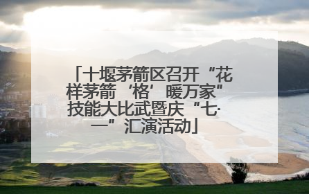 十堰茅箭区召开“花样茅箭‘格’暖万家”技能大比武暨庆“七·一”汇演活动