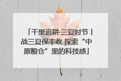 千里追耕·三夏时节丨战三夏保丰收 探索“中原粮仓”里的科技感