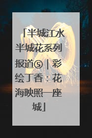 半城江水半城花系列报道⑤｜彩绘丁香：花海映照一座城