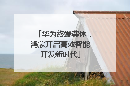华为终端龚体：鸿蒙开启高效智能开发新时代