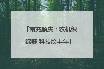 南充顺庆：农机织绿野 科技绘丰年