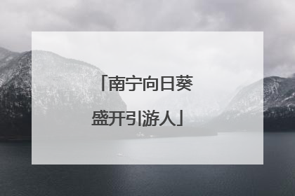 南宁向日葵盛开引游人