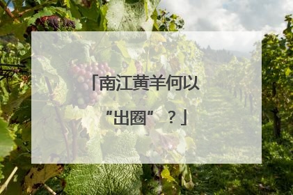 南江黄羊何以“出圈”？