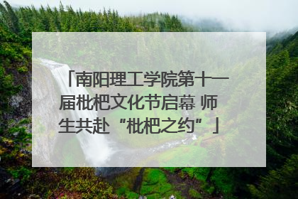 南阳理工学院第十一届枇杷文化节启幕 师生共赴“枇杷之约”