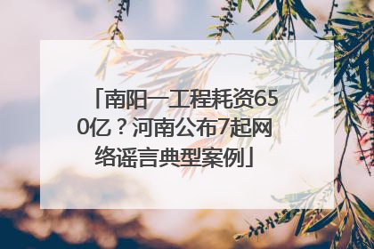 南阳一工程耗资650亿？河南公布7起网络谣言典型案例