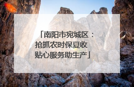 南阳市宛城区：抢抓农时保夏收 贴心服务助生产