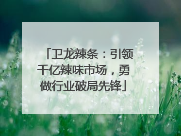 卫龙辣条：引领千亿辣味市场，勇做行业破局先锋