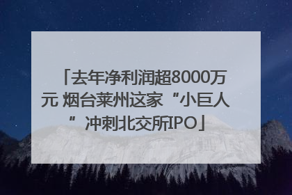 去年净利润超8000万元 烟台莱州这家“小巨人”冲刺北交所IPO