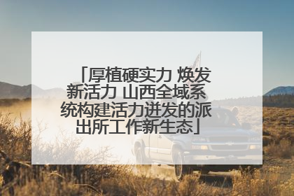 厚植硬实力 焕发新活力 山西全域系统构建活力迸发的派出所工作新生态