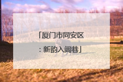厦门市同安区：新韵入闾巷