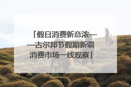 假日消费新意浓——古尔邦节假期新疆消费市场一线观察