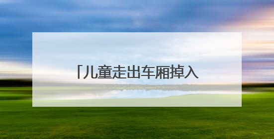 儿童走出车厢掉入股道 上铁淮南西站：已交其家长