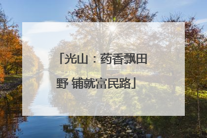 光山：药香飘田野 铺就富民路