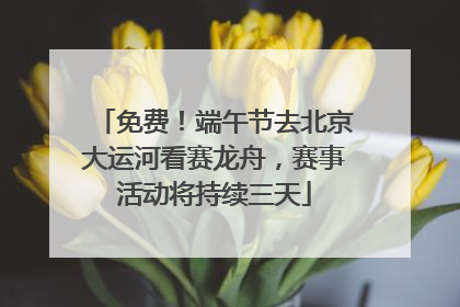 免费！端午节去北京大运河看赛龙舟，赛事活动将持续三天
