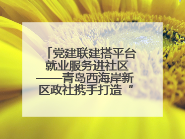党建联建搭平台 就业服务进社区——青岛西海岸新区政社携手打造“零工之家”就业服务新阵地