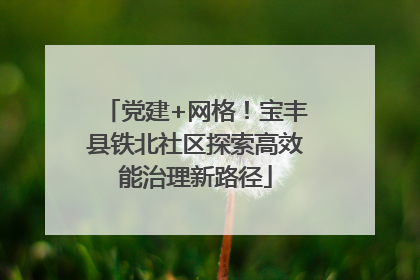 党建+网格！宝丰县铁北社区探索高效能治理新路径
