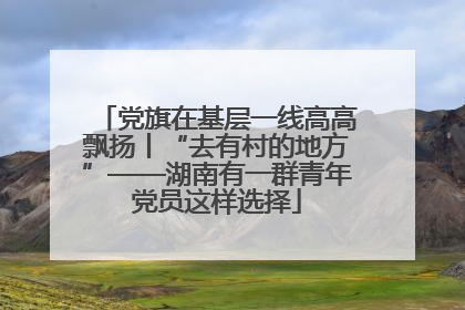 党旗在基层一线高高飘扬丨“去有村的地方”——湖南有一群青年党员这样选择
