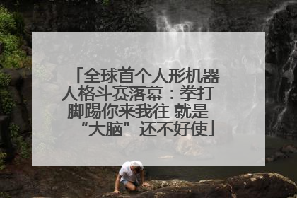 全球首个人形机器人格斗赛落幕：拳打脚踢你来我往 就是“大脑”还不好使