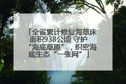 全省累计修复海草床面积938公顷 守护“海底草原”，织密海底生态“一张网”