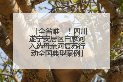 全省唯一！四川遂宁安居区白家河入选母亲河复苏行动全国典型案例