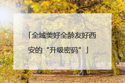 全域美好全龄友好西安的“升级密码”