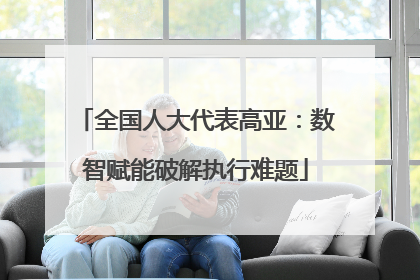 全国人大代表高亚：数智赋能破解执行难题