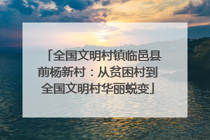 全国文明村镇临邑县前杨新村：从贫困村到全国文明村华丽蜕变