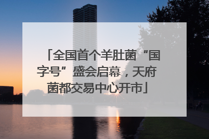 全国首个羊肚菌“国字号”盛会启幕，天府菌都交易中心开市
