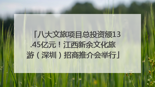 八大文旅项目总投资额13.45亿元！江西新余文化旅游（深圳）招商推介会举行