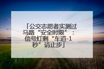 公交志愿者实测过马路“安全时限”：信号灯剩“车道-1秒”请止步