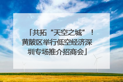 共拓“天空之城”！黄陂区举行低空经济深圳专场推介招商会